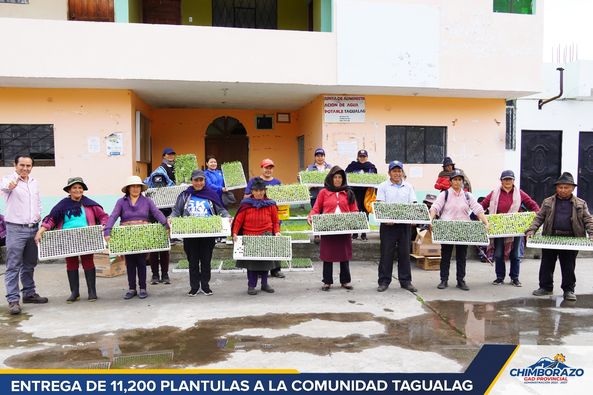 ENTREGA DE 11.200 PLANTULAS A LA COMUNIDAD TAGUALAG