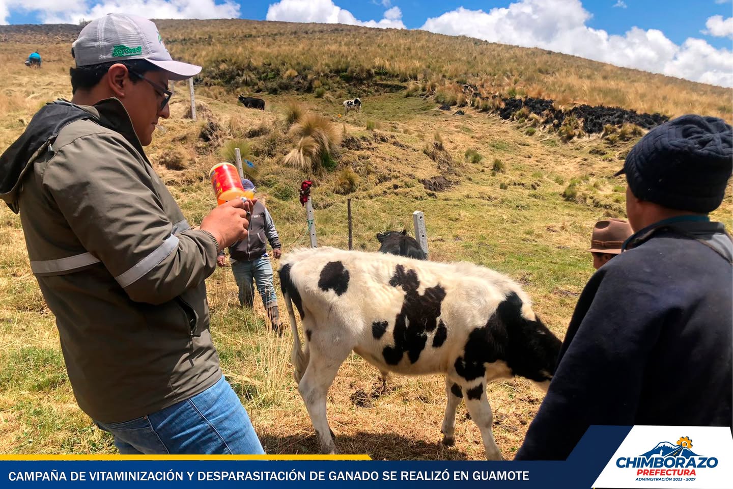 CAMPAÑA DE DESPARASITACIÓN Y VITAMINIZACIÓN DE GANADO EN GUAMOTE